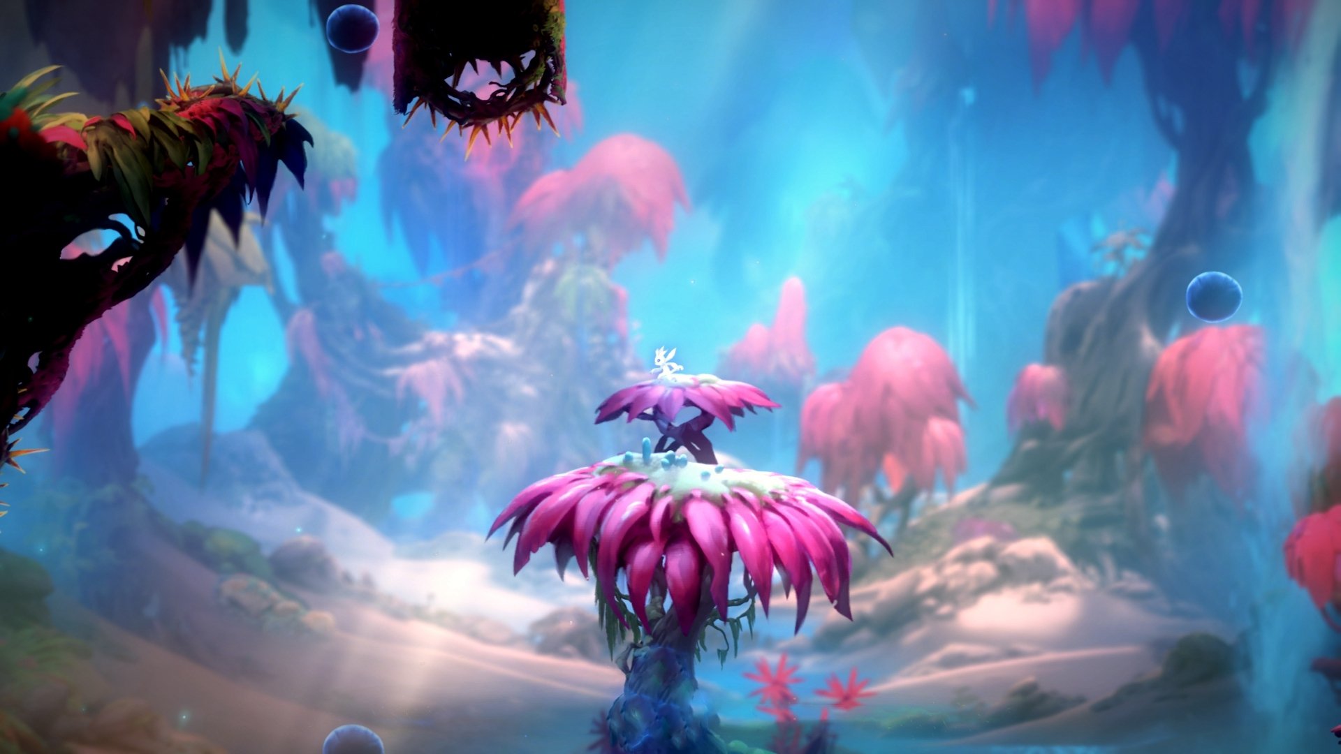 梅西带领阿根廷稳步前行,冲刺世界杯